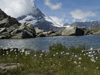 CH, Wallis, Zermatt, Gornergrat, Riffelsee 6, Saxifraga-Willem van Kruijsbergen