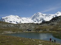 CH, Wallis, Zermatt, Gornergrat, Riffelsee-Weissgrat 2, Saxifraga-Willem van Kruijsbergen