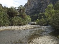 GR, Crete, Rethimnon, Limni, Helidomon Gorge 4, Saxifraga-Willem van Kruijsbergen