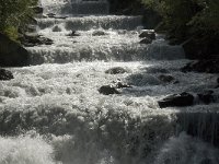 I, Trentino-Sued Tirol, Stelvio National Park, Sulden, Suldenbach 2, Saxifraga-Jan van der Straaten