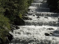 I, Trentino-Sued Tirol, Stelvio National Park, Sulden, Suldenbach 3, Saxifraga-Jan van der Straaten