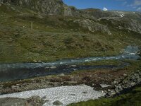 N, Innlandet, Lom, Krossbu 3, Saxifraga-Marijke Verhagen