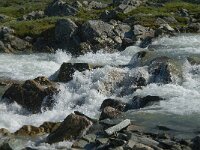 N, Innlandet, Lom, Krossbu 8, Saxifraga-Jan van der Straaten