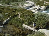 N, Innlandet, Sel, Peer Gynt Hytta 16, Saxifraga-Jan van der Straaten