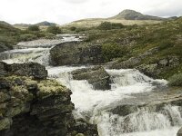 N, Innlandet, Sel, Vesle Ula 3, Saxifraga-Willem van Kruijsbergen