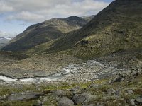 N, Oppland, Lom, Storebreen 15, Saxifraga-Willem van Kruijsbergen