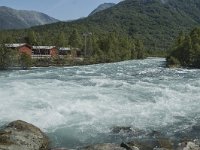 N, Sogn og Fjordane, Luster, Nigardsbreen 1, Saxifraga-Marijke Verhagen