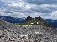 A, Vorarlberg, Dalaas, Saladinaspitze 1, Saxifraga-Jan van der Straaten