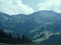 A, Vorarlberg, Dornbirn, Moerzelspitze 1, Saxifraga-Jan van der Straaten