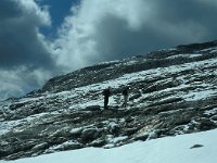 A, Vorarlberg, Nenzing, Barthuemeljoch 4, Saxifraga-Jan van der Straaten