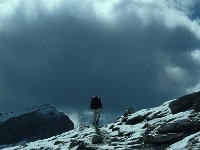 A, Vorarlberg, Nenzing, Barthuemeljoch 8, Saxifraga-Jan van der Straaten