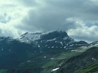 A, Vorarlberg, Nenzing, Panuelerkopf 1, Saxifraga-Jan van der Straaten