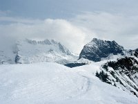 A, Vorarlberg, Sonntag, Biberacher Huette 12, Saxifraga-Jan van der Straaten