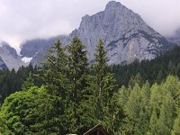 AU, Steiermark, Ramsau 2, Saxifraga-Jonathan Vandevoorden