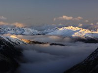 AU, Tirol, Gerlos, Wildgerlostal 1, Saxifraga-Jonathan Vandevoorden