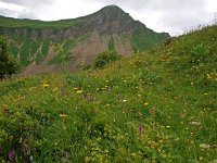 AU, Vorarlberg, Faschina 2, Saxifraga-Hans Dekker