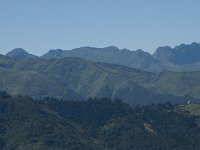 F, Ariege, Aulus les Bains, Col d Agnes 8, Saxifraga-Willem van Kruijsbergen