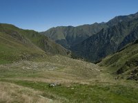 F, Ariege, Couflens, Port de Salau 22, Saxifraga-Willem van Kruijsbergen