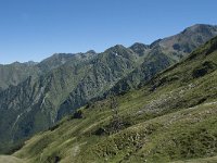 F, Ariege, Couflens, Port de Salau 53, Saxifraga-Willem van Kruijsbergen