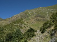 F, Ariege, Couflens, Port de Salau 7, Saxifraga-Willem van Kruijsbergen