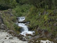 F, Ariege, Couflens, Salau 1, Saxifraga-Willem van Kruijsbergen