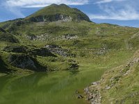 F, Ariege, Seix, Etang d Areau 1, Saxifraga-Willem van Kruijsbergen