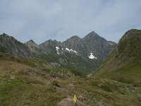 F, Ariege, Seix, Port d Aula 8, Saxifraga-Willem van Kruijsbergen