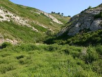 F, Bouches-du-Rhone, Saint Remy-de-Provence, Alpilles 17, Saxifraga-Dirk Hilbers