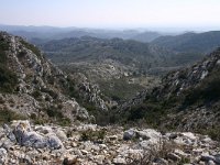 F, Bouches-du-Rhone, Saint Remy-de-Provence, Alpilles 18, Saxifraga-Dirk Hilbers