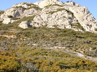 F, Bouches-du-Rhone, Saint Remy-de-Provence, Alpilles 6, Saxifraga-Dirk Hilbers