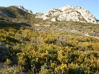 F, Bouches-du-Rhone, Saint Remy-de-Provence, Alpilles 7, Saxifraga-Dirk Hilbers