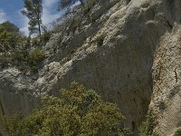 F, Bouches-du-Rhone, Saint Remy-de-Provence, Vallon-de-Saint Clerg 6, Saxifraga-Marijke Verhagen