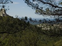 F, Bouches-du-Rhone, Saint Remy-de-Provence, Vallon-de-Saint Clerg 7, Saxifraga-Marijke Verhagen