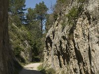 F, Bouches-du-Rhone, Saint-Remy-de-Provence 4, Saxifraga-Willem van Kruijsbergen