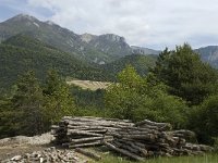 F, Drome, Chamaloc 9, Saxifraga-Jan van der Straaten