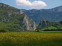 F, Drome, Rochefort-Samson 2, Saxifraga-Hans Dekker