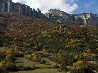 F, Drome, Treschenu-Creyers, Archiane 2, Saxifraga-Jan van der Straaten