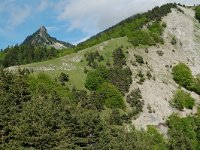 F, Drome, Treschenu-Creyers, Col de Menee 1, Saxifraga-Willem van Kruijsbergen