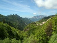 F, Drome, Treschenu-Creyers, Col de Menee 3, Saxifraga-Willem van Kruijsbergen