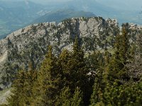 F, Drome, Treschenu-Creyers, Rocher de la Fenetre 5, Saxifraga-Willem van Kruijsbergen