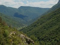 F, Drome, Treschenu-Creyers, Vallee Archiane-Menee 1, Saxifraga-Willem van Kruijsbergen