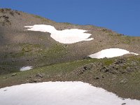 F, Hautes-Alpes, Molines-en-Queyras, Col d Agnel 12, Saxifraga-Luuk Vermeer