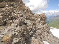 F, Hautes-Alpes, Molines-en-Queyras, Col d Agnel 6, Saxifraga-Luuk Vermeer