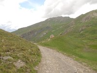 F, Hautes-Alpes, Molines-en-Queyras, Col d Agnel 8, Saxifraga-Luuk Vermeer