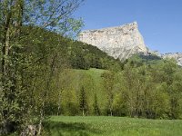 F, Isere, Chichilianne, Mont Aiguille 5, Saxifraga-Jan van der Straaten