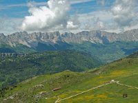 F, Isere, Gresse-en-Vercors, Balcon Est 12, Saxifraga-Willem van Kruijsbergen