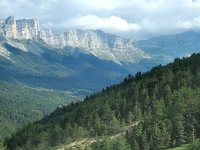 F, Isere, Gresse-en-Vercors, Balcon Est 13, Saxifraga-Jan van der Straaten