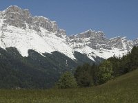 F, Isere, Gresse-en-Vercors, Balcon Est 16, Saxifraga-Jan van der Straaten