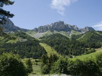 F, Isere, Gresse-en-Vercors, Balcon Est 29, Saxifraga-Willem van Kruijsbergen