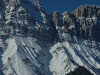 F, Isere, Gresse-en-Vercors, Balcon Est 7, Saxifraga-Jan van der Straaten